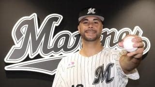 ロッテ・ルケーシー、DeNA竹田祐を登録、巨人田中将大、広島岡本駿ら抹消／６日公示