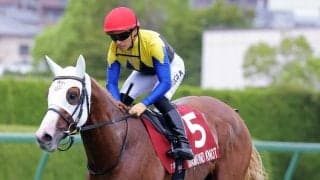 【セントウルＳ】川田将雅騎手「いい経験になったと思います」ダイヤモンドノットは８着　１年２か月ぶりスプリント戦も