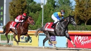 【コリアスプリント】ドラゴンウェルズが海外重賞初挑戦で初制覇　日本調教馬は５勝目　アメリカンステージ２着