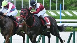 【セントウルS結果】フリッカージャブが人気に応えて重賞連勝！ いざGIへ