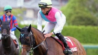 サマースプリントシリーズはピューロマジックが２６ポイントで王者に　対象レース２勝＆セントウルＳで２着