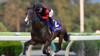 【水沢・ビギナーズC結果】リケアサンバが4馬身差で圧勝 無傷2連勝で重賞V