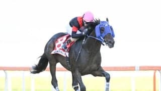 【韓国・コリアカップ結果】大井のディクテオンが圧勝で連覇達成！ サンデーファンデー2着