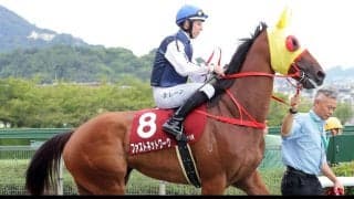 衝撃の「マイナス２８」にＳＮＳがっくり...「散々」「可哀想」「ワーザーみたいに…」　激減り大敗の香港馬ファストネットワーク