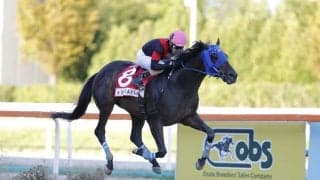 【コリアカップ】大井ディクテオンがコリアカップ連覇！6馬身差圧勝…2着サンデーファンデーで日本馬ワンツー