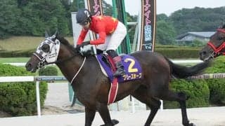 【佐賀・九州ジュニアチャンピオン結果】ブリーズホープが人気2頭を破って重賞初制覇