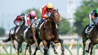 【セントライト記念登録馬】ゴーイントゥスカイなど17頭