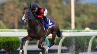【水沢・ビギナーズC】リケアサンバが4馬身差圧勝で無傷2連勝！山本聡哉「スター候補が誕生したかも」