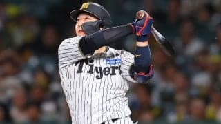 「ベイスターズファンだけど、ホントに心からリスペクトしている」死球を受けた牧秀悟への阪神31歳内野手の対応に野球ファン注目「実力も所作も選手の見本になる人材」