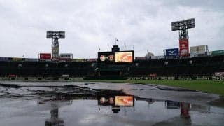 【阪神】雨が降りしきる甲子園、全面水びたし　午後３時半に今季14度目の中止決定