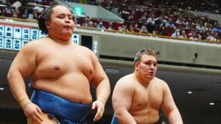 土俵際ヒヤリも安青錦３連勝…八角理事長「地力がある」九重審判長は「足が痛そうな雰囲気」
