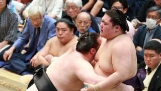 王鵬が人気漫画「島耕作」化粧まわしで土俵入り…鮮やか赤の新作「カッコイイ」「キターー！！」