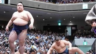 安青錦が連敗　八角理事長「稽古ができてないから立ち合いが軽い」圧倒した豪ノ山の相撲には賛辞