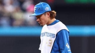 日本ハム戦でほっこり珍事　遊撃手の水野、帽子にトンボが止まったままゴロさばく　ＳＮＳ沸く「可愛いｗ」「幸運のトンボだ」