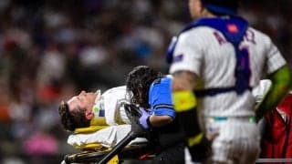 脳震とうで担架搬送中…ファンに見せた“必死の気遣い”　騒然の場内に向けたサインは「胸が痛む」