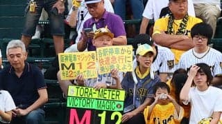 【阪神】レギュラー不在の変則シートノック実施　不規則な風の中でフライノック重点的に