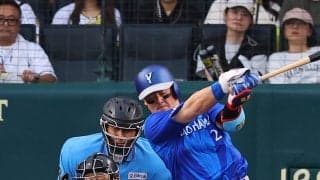 【阪神】坂本誠志郎に一瞬ひやりアクシデント　DeNA牧のファウルが左膝直撃もプレー続行