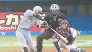 【阪神】近本光司ついに３割超え　チーム正念場で５試合連続マルチ、規定打席未満も安打量産