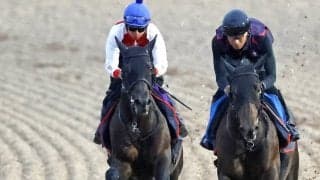 【京都大賞典・１週前】昨春の天皇賞馬が復権へ　ヘデントールに陣営「いいリアクションが返ってくるのでは」