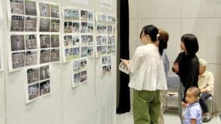 球児の夏をたどる兵庫大会の写真展、和田山できょうまで