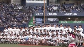 日本ハム左腕の行動が「ヤバい涙」　胴上げの“端っこ”で…ファン発見「愛おしすぎ」