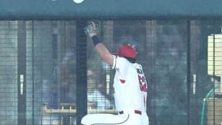 広島　末包昇大がビッグプレー後にフェンス激突で途中交代　球場騒然も自力でベンチ裏へ