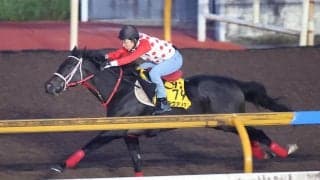 【アイルランドＴ・１週前】昨年覇者のラヴァンダは力強く８１秒８-１１秒３　中村調教師「一番いい舞台だと思います」