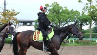 【ＰＯＧ】近親にオークス馬のジョーティスはルメール騎手でデビュー　手塚久調教師「良血馬らしさが出てきた」