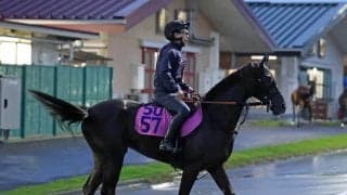 【ＰＯＧ】良血馬ヴァルカモニカは宮田調教師がポテンシャルを絶賛！　「いきなり勝ち負けできそう。楽しみです」