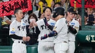 甲子園に大の虎党女優「凄すぎる！」　勝負所で連続観戦…ガチ応援が話題「女神さま～」