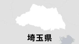 西武、主催試合観客184万人超　過去最多、ファンクラブも好調