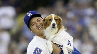 大谷翔平　久々に愛犬・デコピンの近影公開！特製お菓子に興味津々？４カ月ぶりにファン歓喜「可愛すぎて萌え」「久々に見れて泣きそう」「お元気だった？」