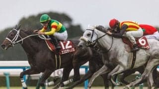 【京都大賞典】田口「馬のリズム大切に乗った」エコロディノスでJRA重賞初制覇
