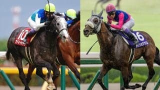 【凱旋門賞見どころ】今夜23時05分発走！メイショウタバル、アドマイヤテラ日本馬2頭が悲願に挑戦…仏ダリズは連覇なるか
