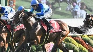 3日間開催にスワンSなど3重賞 地方では南部杯とJDクラシック/今週の競馬界の見どころ