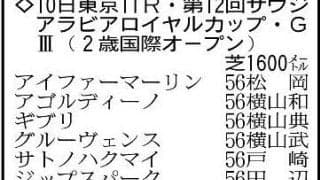 【サウジアラビアロイヤルカップ展望】好調なエフフォーリア産駒からベルウッドディープに期待