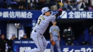 阪神襲来でスタンド“真っ二つ”「おかしいでしょ」　くっきり2色「ハマスタ甲子園」