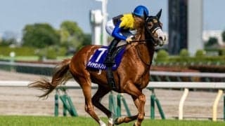 【スワンS登録馬】ダイヤモンドノット、ウインマーベルなど21頭