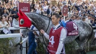 【凱旋門賞】友道師「瞬発力の差が出た…」アドマイヤテラは伸び切れず11着