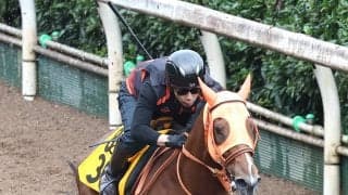 【アイルランドＴ・理貴の特注馬】厩舎ゆかりの血統　チェルビアットが初タイトルへ　高野調教師「完成度はこの一族でも高い」