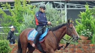 【スワンＳ・三戸の特注馬】不良馬場の前走は度外視　サンダーストラックが京都外回りで再び輝く
