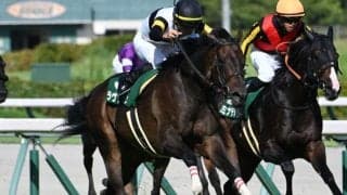 【アイルランドT見どころ】ラヴァンダが昨年の再現を狙う
