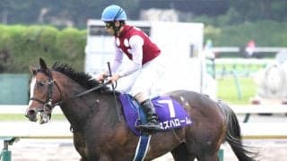 【スワンＳ・松ケ下の特注馬】本領発揮へ　距離実績＆復調気配感じるスズハロームが穴候補か