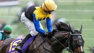 【アイルランドT想定騎手】カムニャックは川田将雅騎手、クイーンズウォークは西村淳也騎手