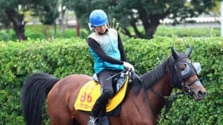 【アイルランドＴ】復調したミアネーロが重賞２勝目を狙う　林調教師「何とかもう一つタイトルを」