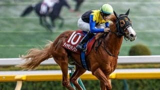 【スワンS想定騎手】ダイヤモンドノットは横山武史騎手、ウインマーベルは松山弘平騎手
