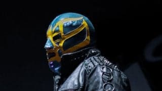 メキシコ人レスラーの脳天くい打ちで死去したレフェリー、死因は外傷性脳損傷　450万円で示談