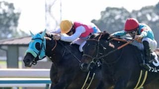 【注目馬動向】もみじＳ逃げ切りＶのロンドンガーズは京王杯２歳Ｓへ　フルーツバスケットは東京スポーツ杯２歳Ｓ