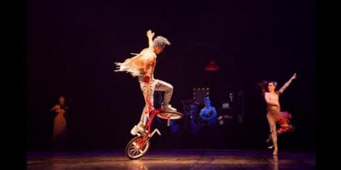 【映像】シルクドソレイユ新作”VOLTA”にBMXライダー池田貴広が出演！