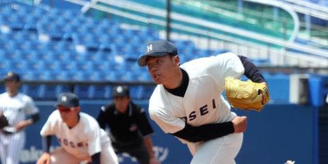 法大　ルーキー特集①　柏野智也